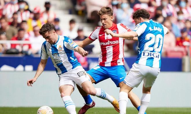 附近的高质 附近的高质